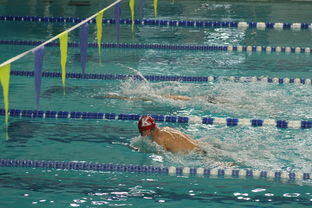 体育mk-全国公开水域游泳赛长江赛段人气爆棚